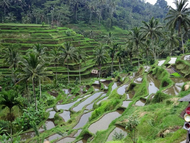 Ubud