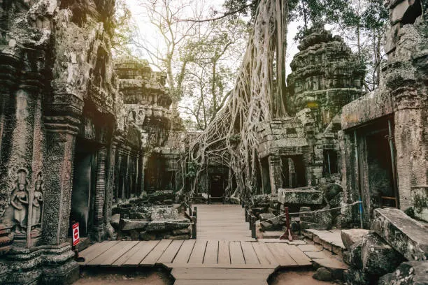 Ta Prohm Temple